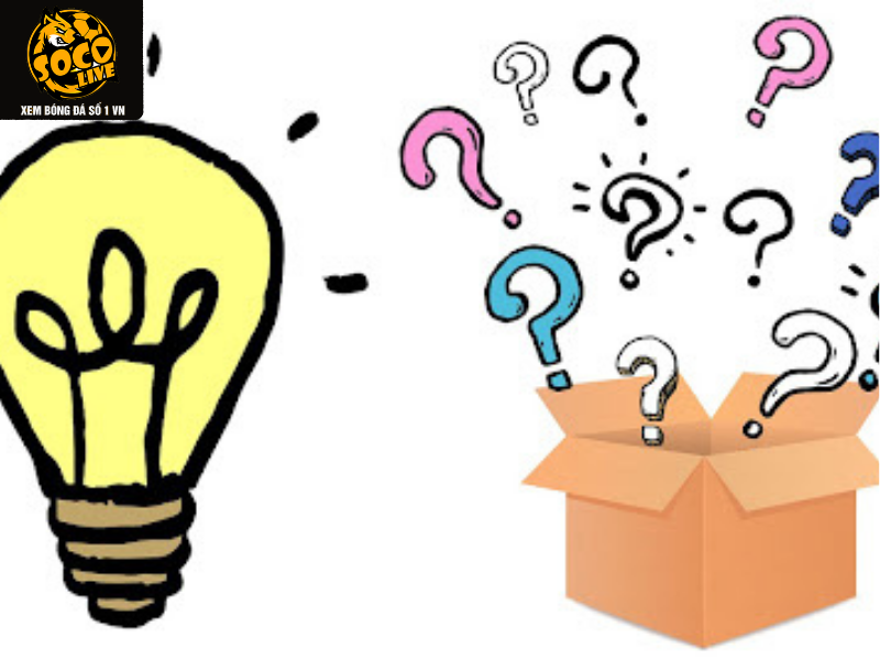 Quy trình phản hồi và hỗ trợ người dùng của Socolive