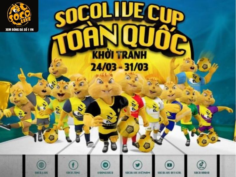 Thông tin giới thiệu về chúng tôi - Socolive